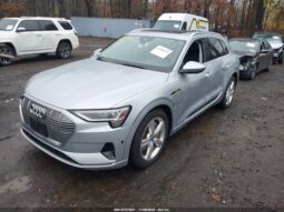 
										2019 Audi E-tron full									
