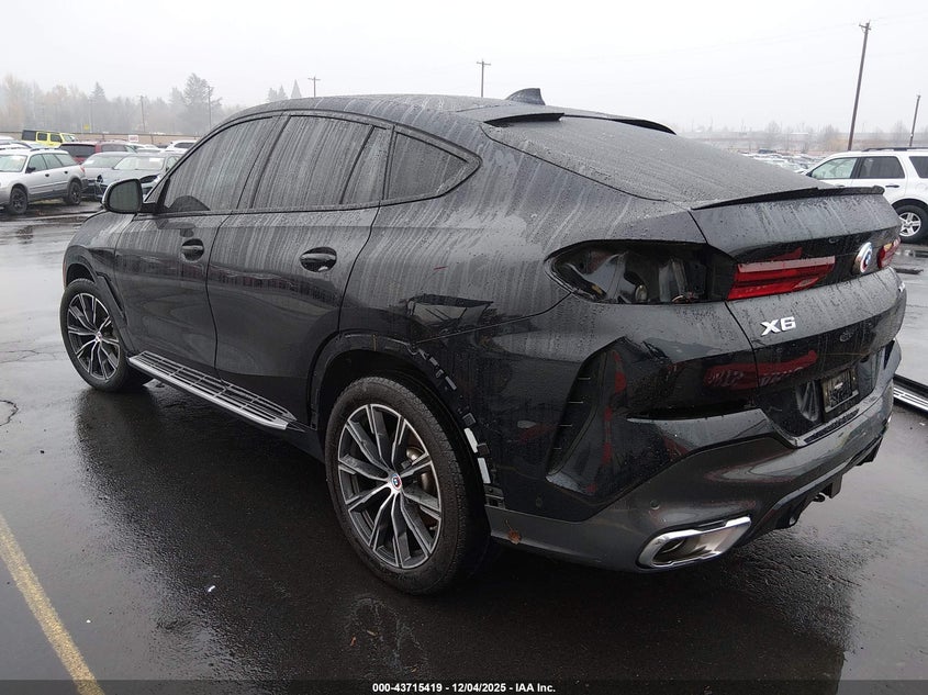 2023 BMW X6