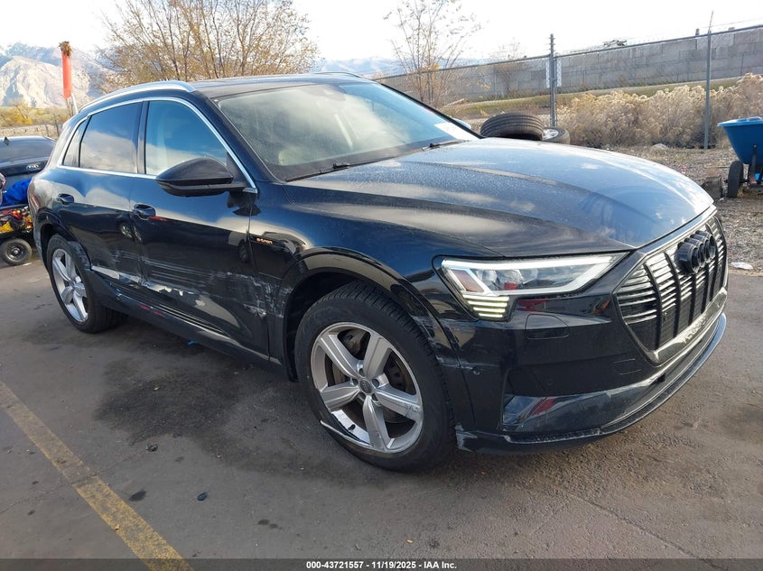 2019 Audi E-tron