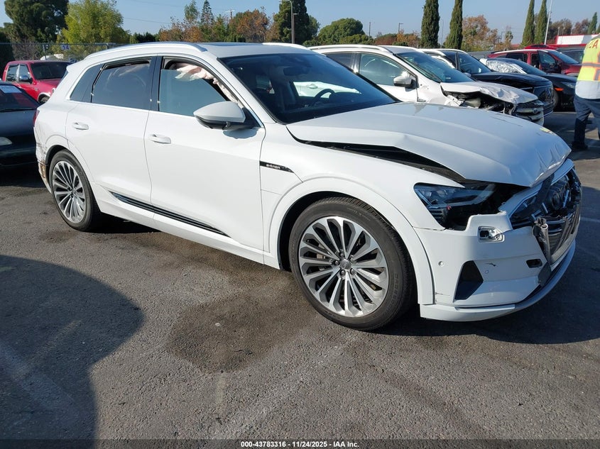 2019 Audi E-tron