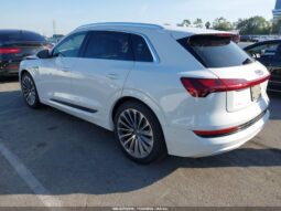 
										2019 Audi E-tron full									