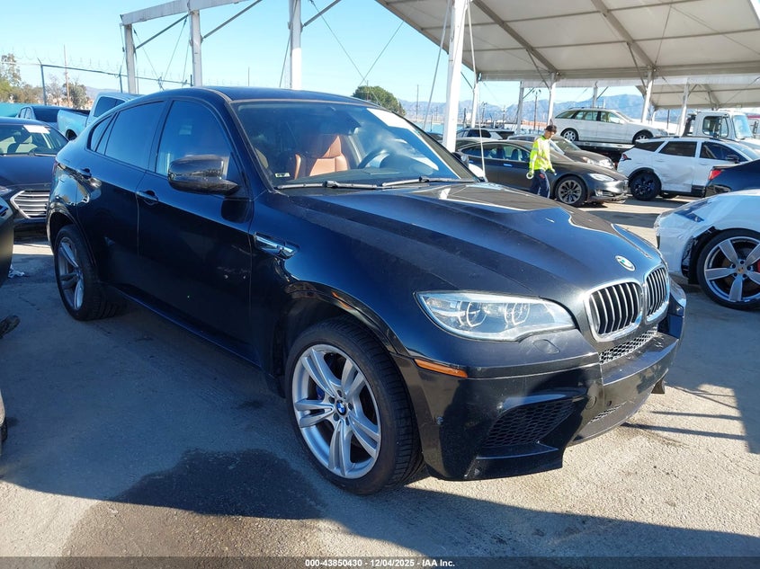 2014 BMW X6 m