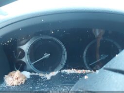 
										2019 Toyota Land cruiser full									