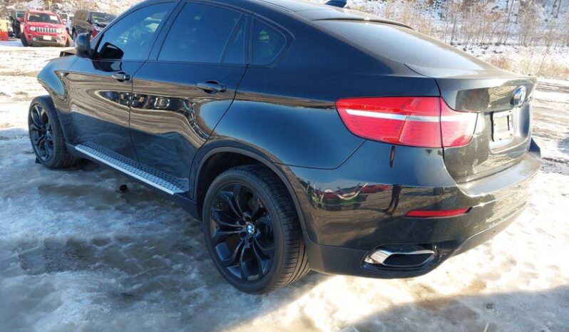 
								2011 BMW X6 full									