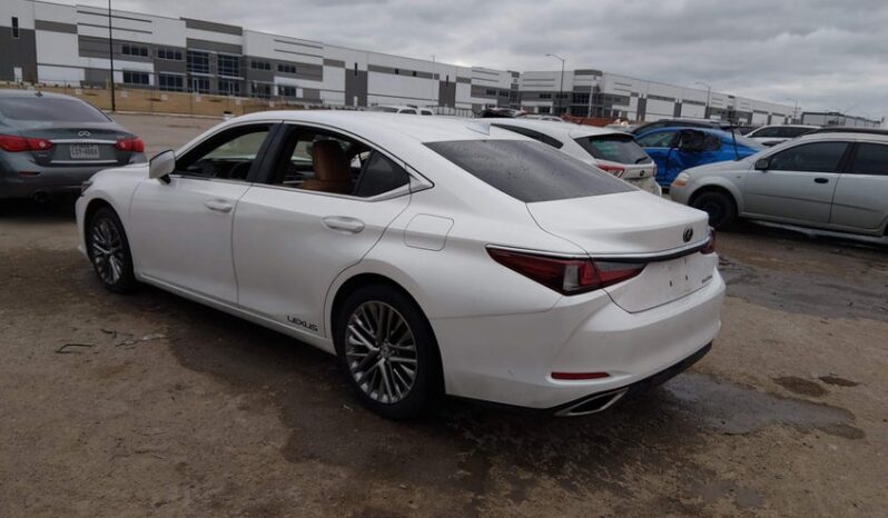 
								2019 Lexus Es 350 full									