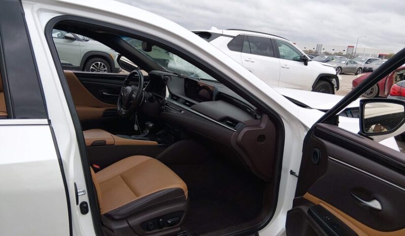 
								2019 Lexus Es 350 full									