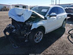 
										2019 Audi Q5 full									