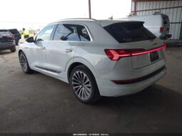 
										2019 Audi E-tron full									