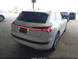 
										2019 Audi E-tron full									