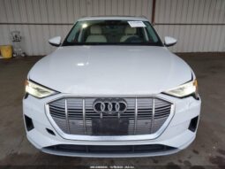 
										2019 Audi E-tron full									