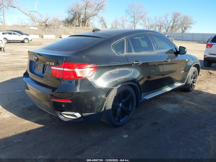 2010 BMW X6