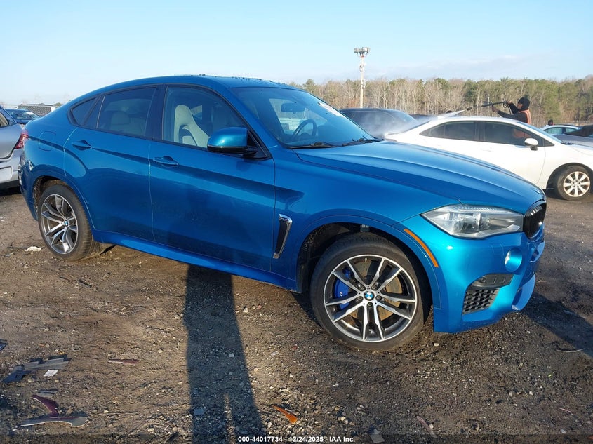 2015 BMW X6 m