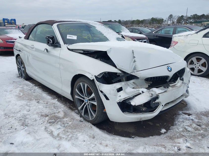 2017 BMW 2 series