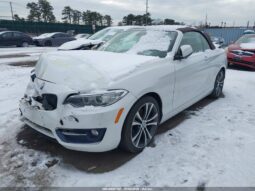 
										2017 BMW 2 series full									
