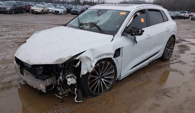 
								2019 Audi E-tron full									