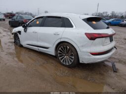 
										2019 Audi E-tron full									