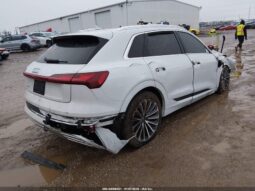 
										2019 Audi E-tron full									