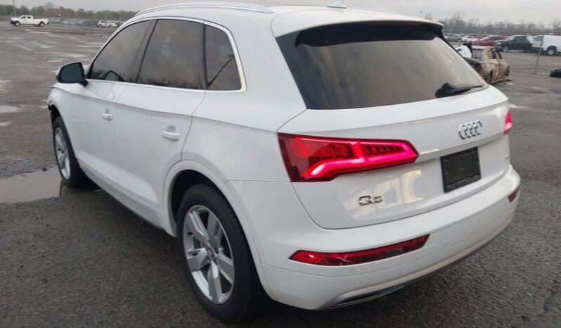 
								2019 Audi Q5 full									