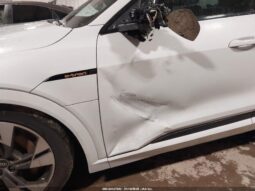 
										2021 Audi E-tron full									