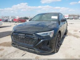 
										2024 Audi Q8 full									