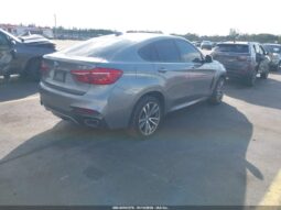 
										2017 BMW X6 full									