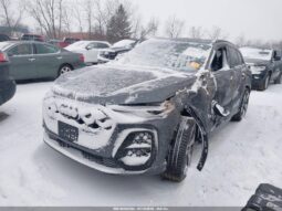 
										2025 Audi Sq5 full									
