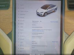 
										2020 Tesla Model x full									