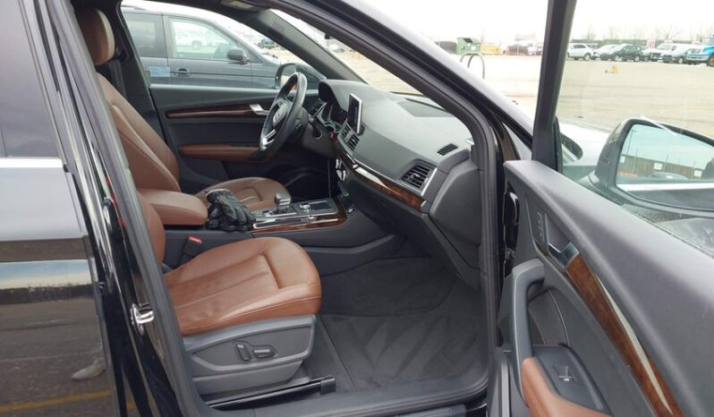 
								2019 Audi Q5 full									