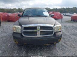 
										2006 Dodge Dakota full									