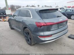 
										2019 Audi E-tron full									