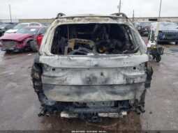 
										2024 BMW X7 full									