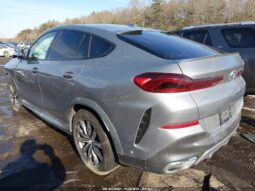 
										2025 BMW X6 full									
