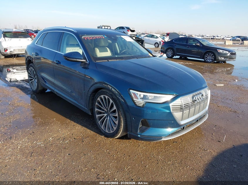 2019 Audi E-tron