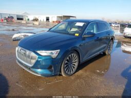
										2019 Audi E-tron full									