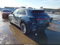 
										2019 Audi E-tron full									