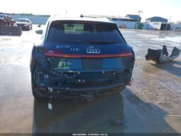 
										2019 Audi E-tron full									