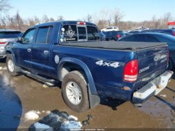 
										2004 Dodge Dakota full									