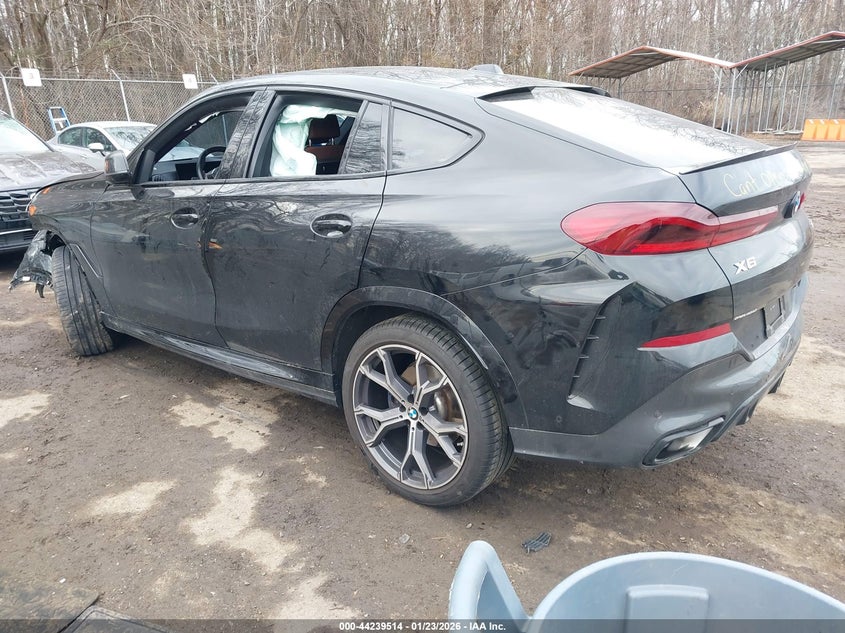 2024 BMW X6