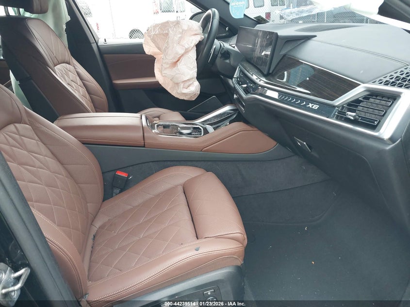 2024 BMW X6