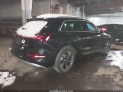 
										2023 Audi E-tron full									
