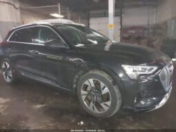 
										2023 Audi E-tron full									