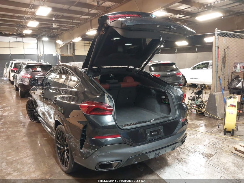 2025 BMW X6