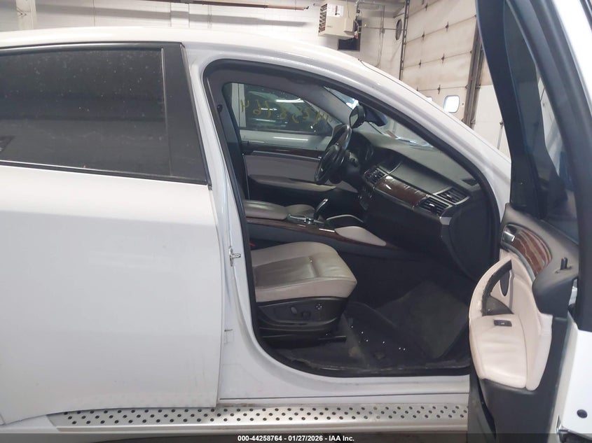 2009 BMW X6