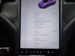 
										2020 Tesla Model x full									