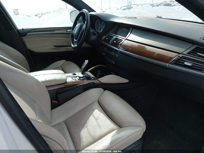 2009 BMW X6
