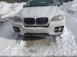 
										2009 BMW X6 full									