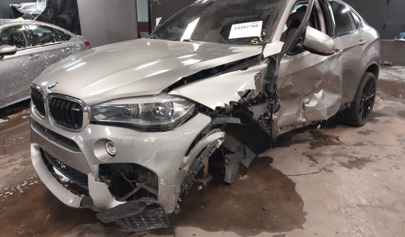 
								2017 BMW X6 full									