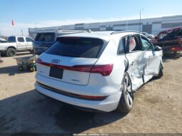 
										2022 Audi E-tron full									
