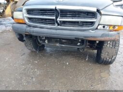 
										2002 Dodge Dakota full									