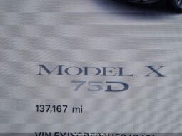 
										2017 Tesla Model x full									